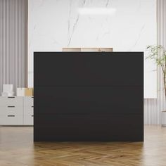 an empty room with a large black cabinet and plant on the floor in front of it