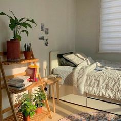 a bedroom with a bed, desk and plants on the shelves in front of it