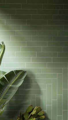 a green tiled wall next to a potted plant