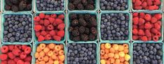 many different types of berries are arranged in bins