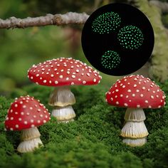 three mushrooms with green dots on them sitting in the grass