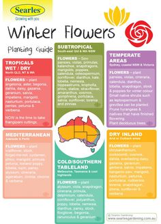 the spring flowers guide for australia