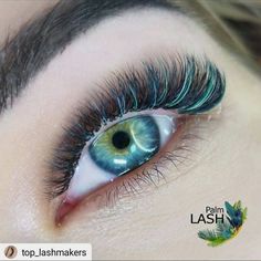 Teal Lash Extensions, Fairy Eyelashes, Eyelash Decor, Lash Extentions, Color Extensions, Eyelash Extensions Styles, Lash Extensions Styles, Perfect Eyelashes, Pretty Lashes