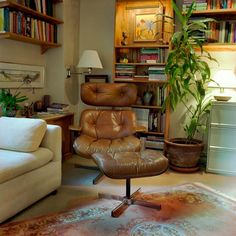 a living room filled with furniture and bookshelves next to a plant in a pot