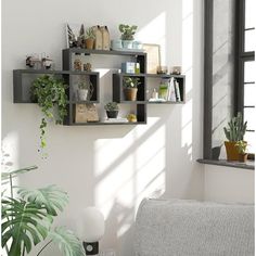 a living room filled with furniture and lots of greenery on the shelves next to a window