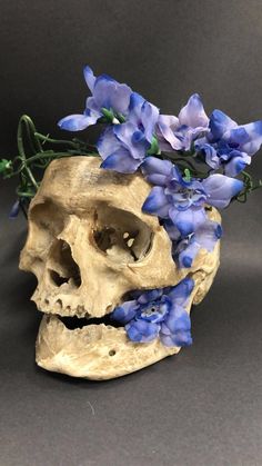 a human skull with blue flowers in it