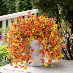 a potted plant with orange and yellow flowers sitting on a table in the garden