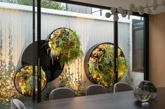 three circular planters are on the wall in front of a dining room table with chairs