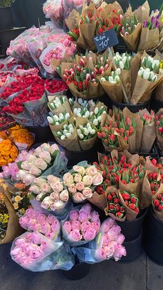 many different types of flowers are on display