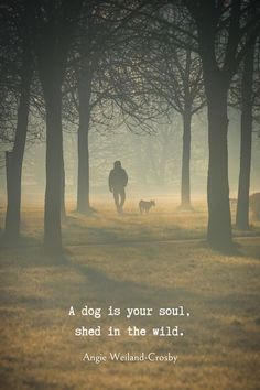 a man walking his dog in the park with foggy trees and grass behind him