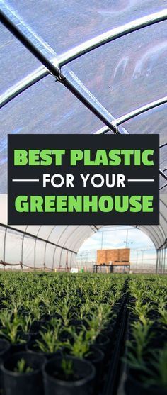 a greenhouse with plants growing inside and the words best plastic for your greenhouse