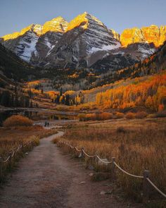 a path leading to the mountains in autumn