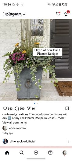 the instagram page on instagram com shows an image of a potted plant