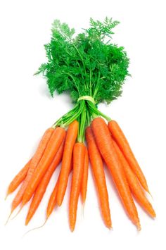 fresh carrots with green tops on white background