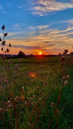 the sun is setting over an open field