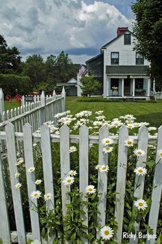 a white picket fence with daisies in the foreground and a house in the background