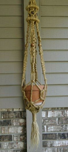 a potted plant hanging from the side of a house