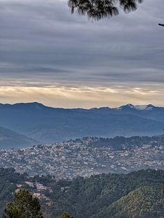 a view of the city and mountains from atop a hill with trees in foreground