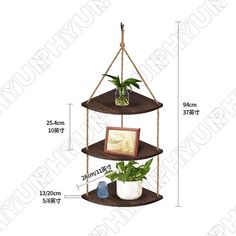 three tiered shelves with plants and pictures on them, measurements for each shelf in the same