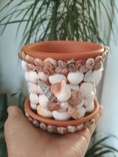 a hand holding a clay pot filled with seashells