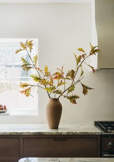 a vase filled with leaves sitting on top of a counter next to a stovetop