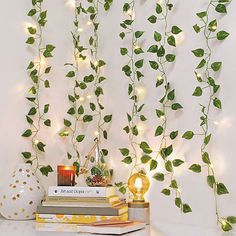 some books and plants on a table with lights in the backgroung behind them