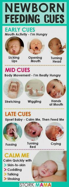 a baby's newborn info sheet with the names and pictures for each child in it