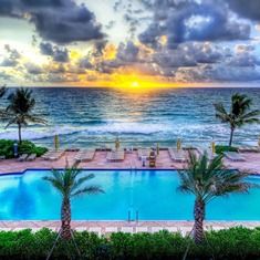 an outdoor swimming pool next to the ocean with palm trees in front of it at sunset