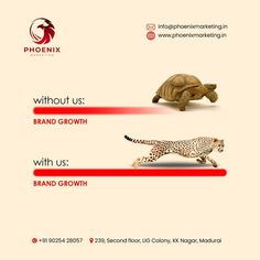 an advertisement for the phoenix brand featuring two cheetah and a tortoise