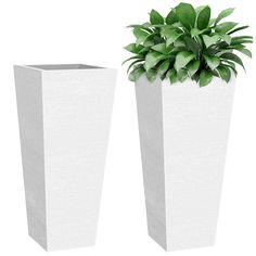 two tall white vases with green plants in them