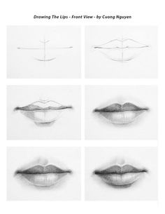 six different angles of lips with the same line drawn on them to show how they look like