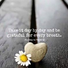 a heart shaped rock sitting on top of a wooden table next to a white flower