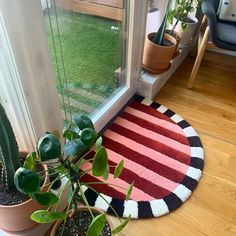 a potted plant sitting on top of a rug next to a window