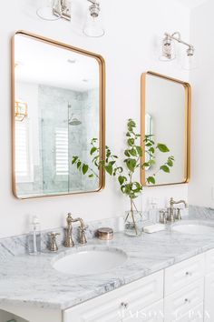 a bathroom with marble counter tops and two mirrors on the wall, one has a potted plant in front of it