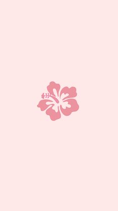 a pink flower on a light pink background