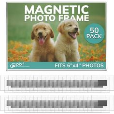 two puppies sitting next to each other in front of a sign that says magnetic photo frame