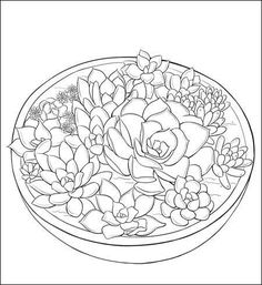 a bowl full of succulents and flowers on a white background coloring page