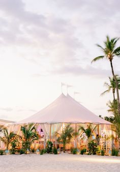 a tent set up on the beach with palm trees