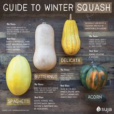 a guide to winter squash on a wooden table