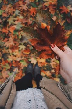 a person holding up a leaf in front of their face with autumn leaves on the ground