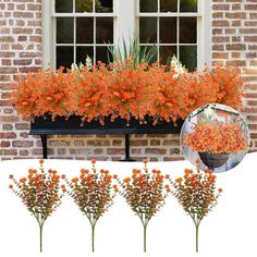 orange flowers in a window box next to a brick building