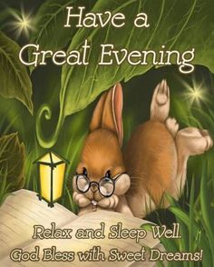 a book cover with an image of a bunny reading a book and the words, have a great evening relax and sleep well god bliss with sweet dreams