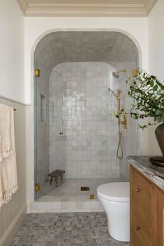 a white toilet sitting next to a walk in shower under a bathroom mirror with a potted plant on top of it