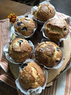 blueberry muffins in paper cups on a plate