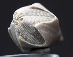 a close up view of a piece of pottery on a metal object with a black background