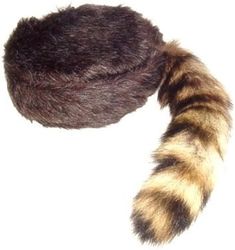 A racoon hat akin to those worn by the likes of Davey Crockett and Daniel Boone Davy Crocket, Davy Crockett, Toro Inoue, Daniel Boone, Moonrise Kingdom, The Lone Ranger, Davos, Cat Tail, Fur Hat