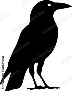 a black bird silhouetted on a white background