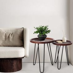 two tables with plants on them next to a couch