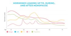 What’s happening to my body? 6 menopause strategies. Precision Nutrition, Hormone Replacement, Hormone Levels, Hormonal Changes, Brain Fog, Body Composition, Hot Flashes, Bone Health, Mood Swings