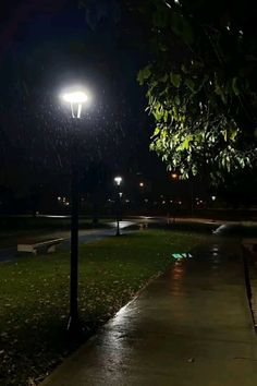 a street light sitting on the side of a lush green field at night with rain coming down